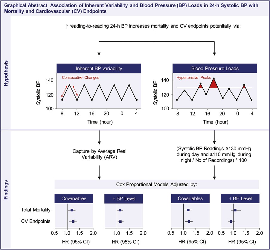 What is the association of Variability and Hypertensive Loads in 24-h Blood Pressure With Mortality and Cardiovascular Risk? 🔗🔒 academic.oup.com/ajh/article/37… #Hypertension #BPVariability