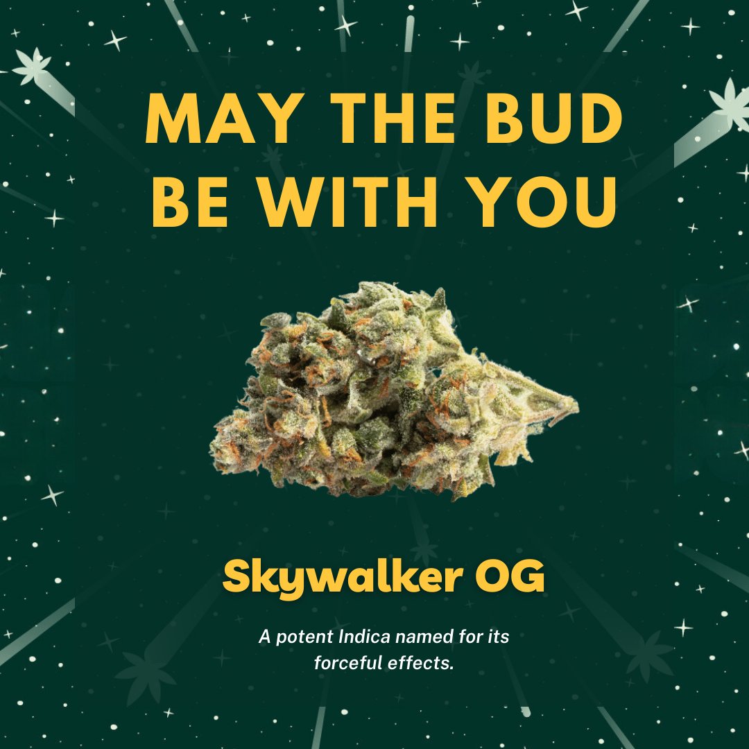 We can't think of a better way to celebrate #StarWarsDay than with Skywalker OG. #StarWarsDay 🔗 bit.ly/3Qq4lMP