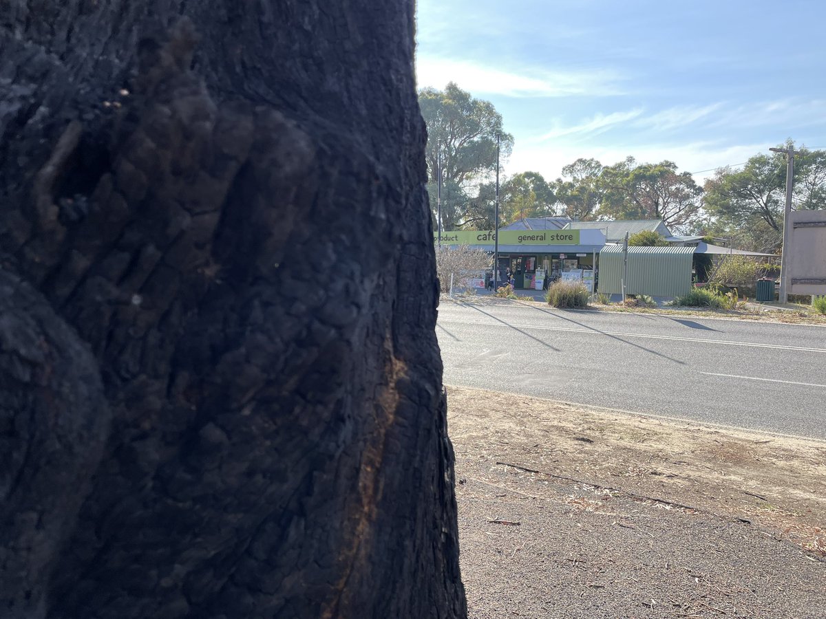 Halls Gap and Pomonal on a Sunday day, where fires threatened not too long ago #victoria #grampians #regionalvictoria #australia #nofilter