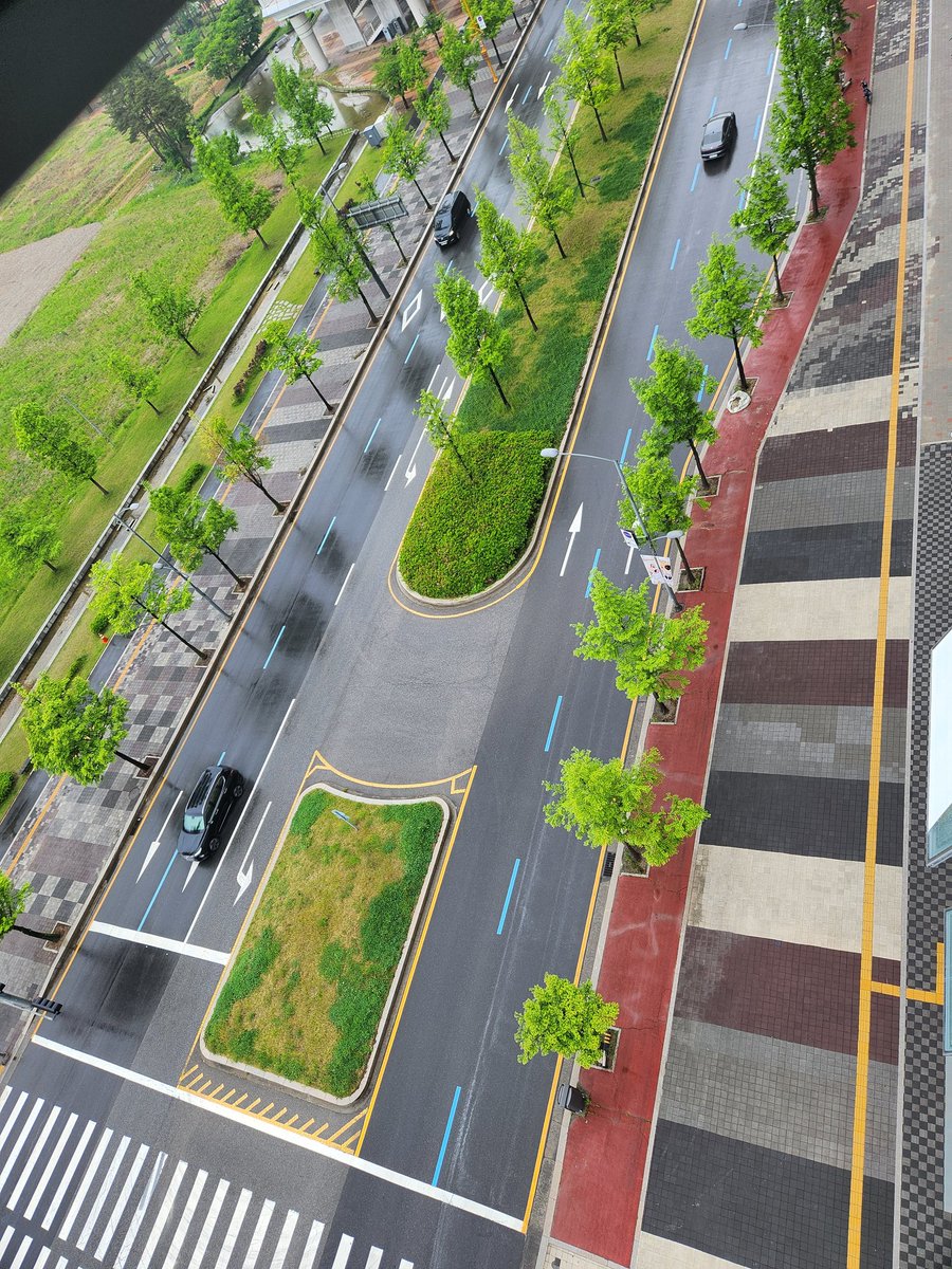 정주~새미래민주당🦁🩵🐬 tweet media