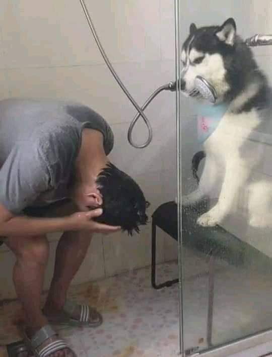 llego el fin de semana y yo...