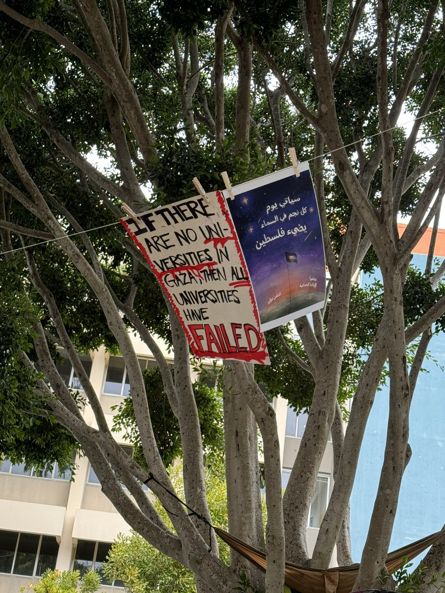 ucsb liberated zone 🇵🇸