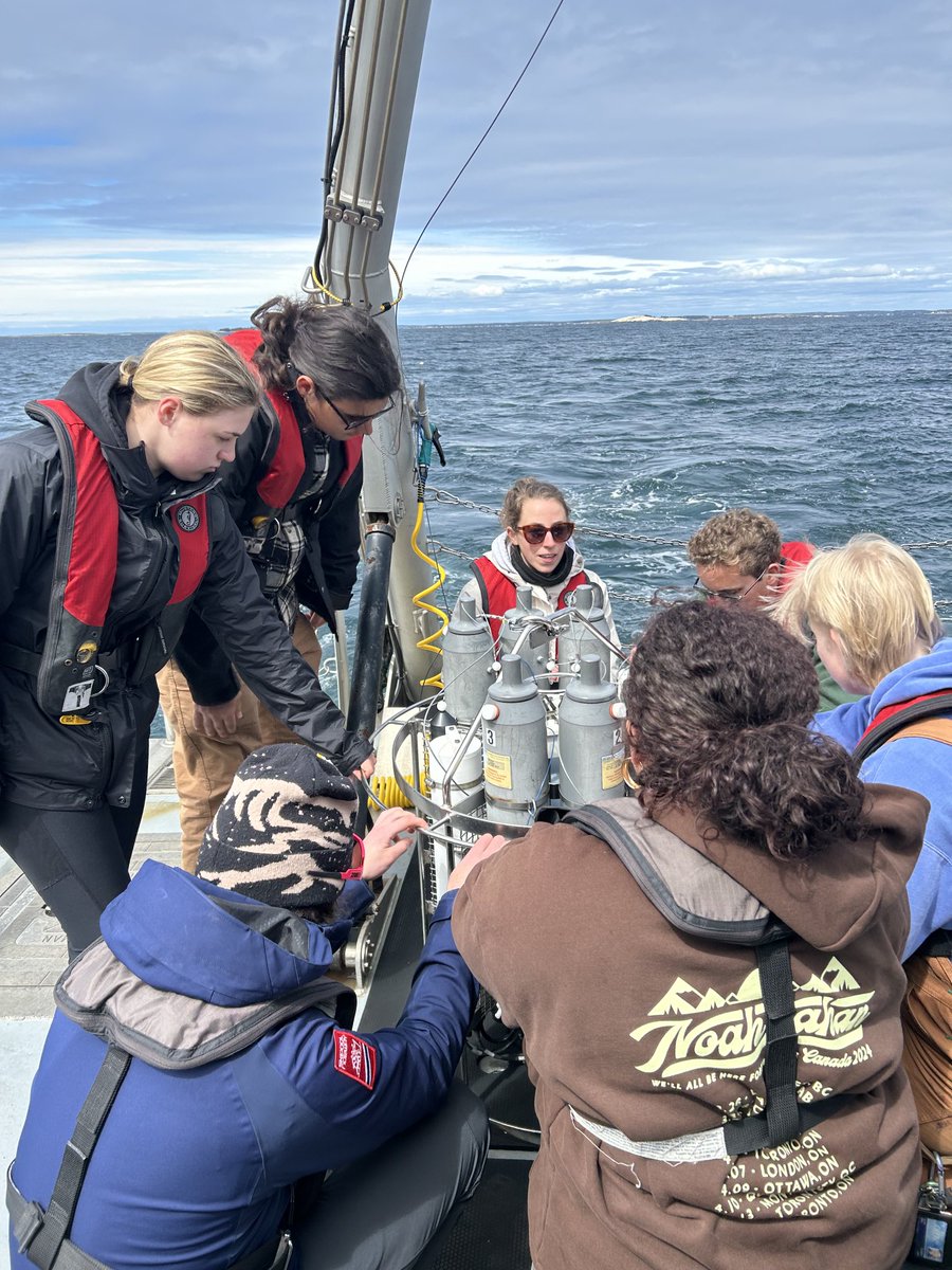 Dr. Bess Koffman tweet media