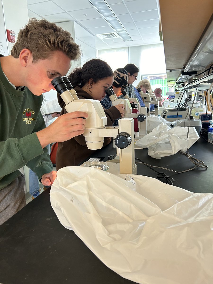 Dr. Bess Koffman tweet media