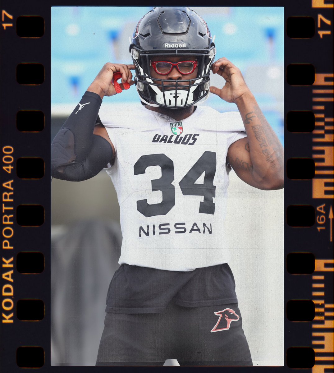 Visión túnel 🐾🔒

#VamosGalgos❤️‍🔥