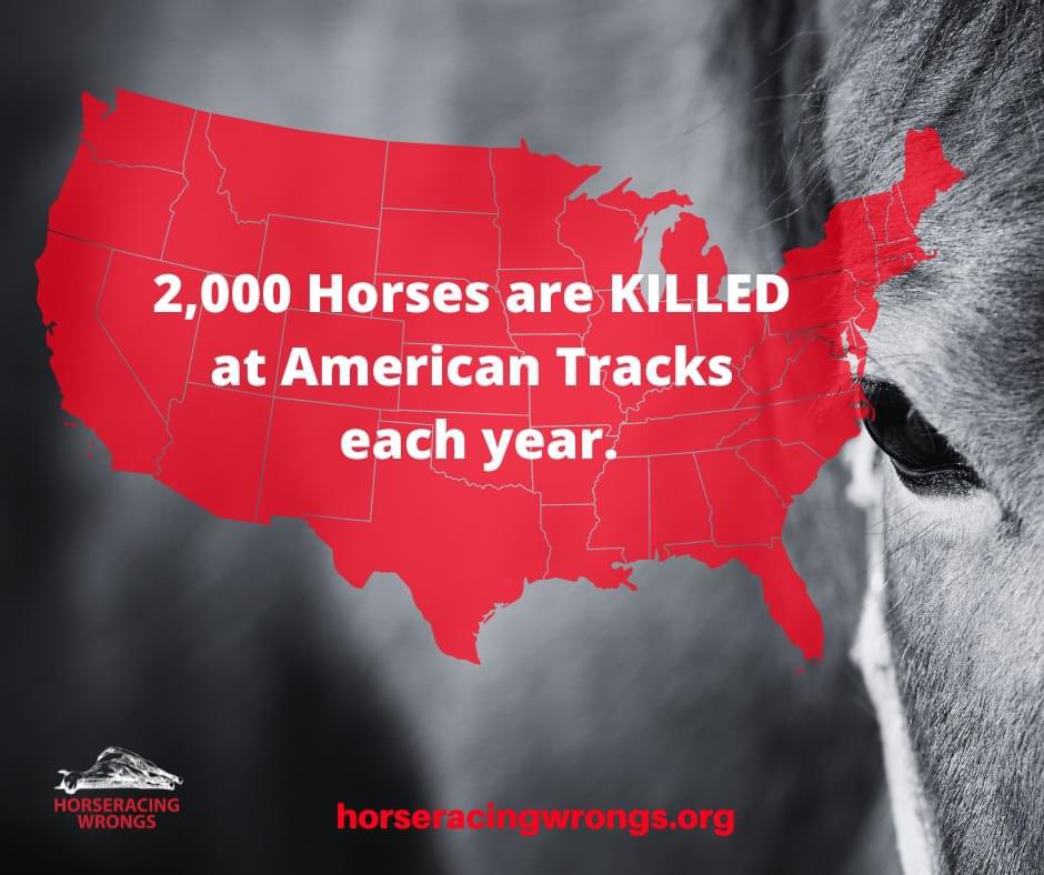 Carnage,” as defined by the American Heritage Dictionary, is “large-scale death and destruction.” This is what is happening in the American horseracing industry. #EndHorseracing #KYDerby