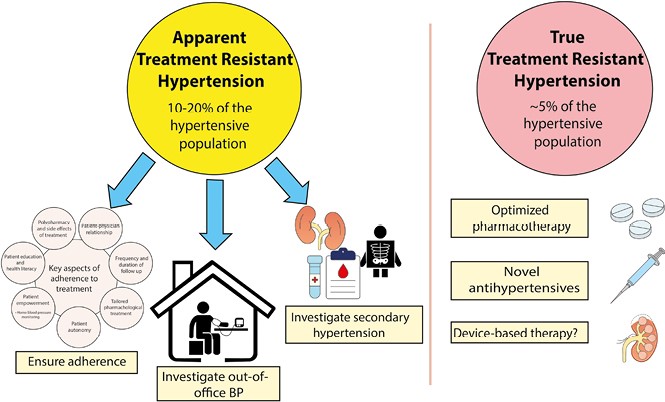 Medical measures for Resistant Hypertension academic.oup.com/ajh/article/37… 🔗🔓 #OpenAccess