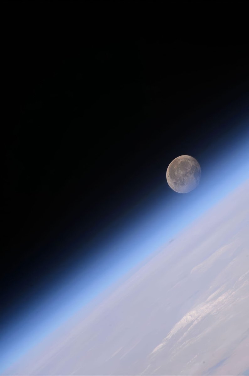 Moon 🌙 and the horizon from Space 🌌
Breathtaking 🤗

📷 | @MAstronomers 

#الديوان_الملكي #RCBvGT #HalaMadrid #GreenCard #ThomasCup2024 #Space #SpaceX #MOONLIGHT_MVTeaser #MOONLIGHTOutNow #moon