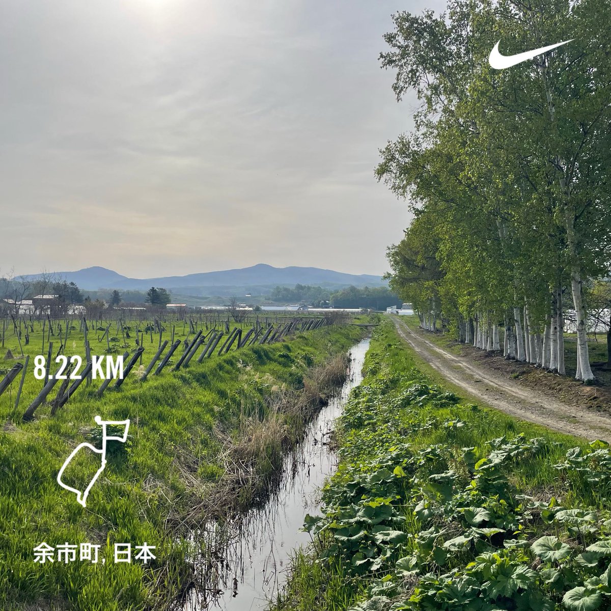 涼しい時間のウチにラン。
なんか脚が重い。一昨日の筋肉痛からなら大歓迎だけど。
さてこれからウォーキング🚶‍♀️
#MorningRuns #running #beautifulmorning #Hokkaido #朝ラン #ランニング #余市町 #北海道 #sundayjoy