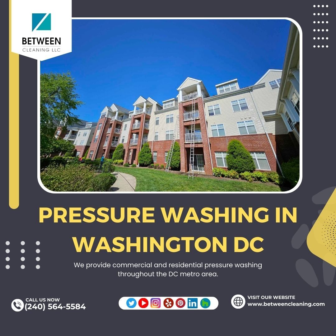 Revitalize your curb appeal with our expert pressure washing services in the heart of Washington, DC! ✨ Say goodbye to dirt and grime and hello to a sparkling clean exterior! #DCPressureWashing #CleanCurbAppeal #WashingtonDCSparkle bit.ly/3HjZ31m