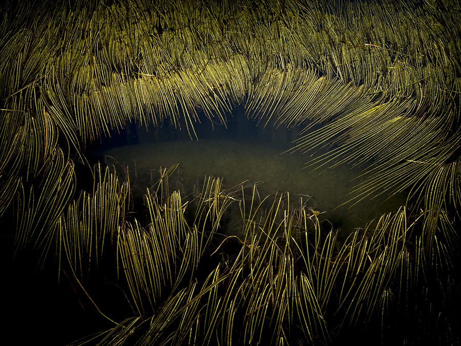 artlimitednet's tweet photo. Lac Vert by Jean-Luc Billet
#altitude #digital #beautifullandscape #waterscape #photography #algues #river #regard #pyrnes #srnit #skyscape #montagne #contemplation #lake #colorful #color #colors #snapshot #throughthelens #miroir #vert #landscape #nature https://t.co/hZImJsQVY2 https://t.co/TlvQavbxnG