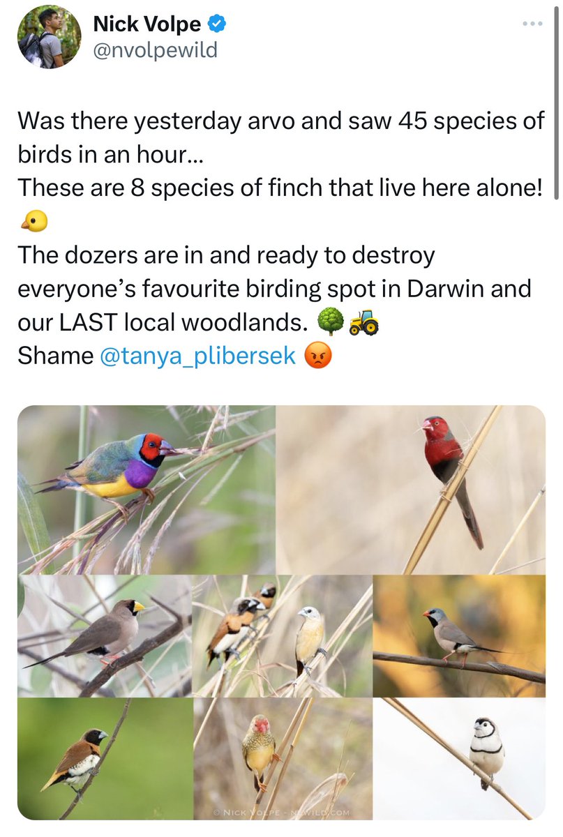 Hello World, Imagine having a culturally significant site within a major city, dearly loved by the community, that had world-class birdwatching & nature-based tourism potential. Well, our Environment Minister, @tanya_plibersek, approved its destruction!