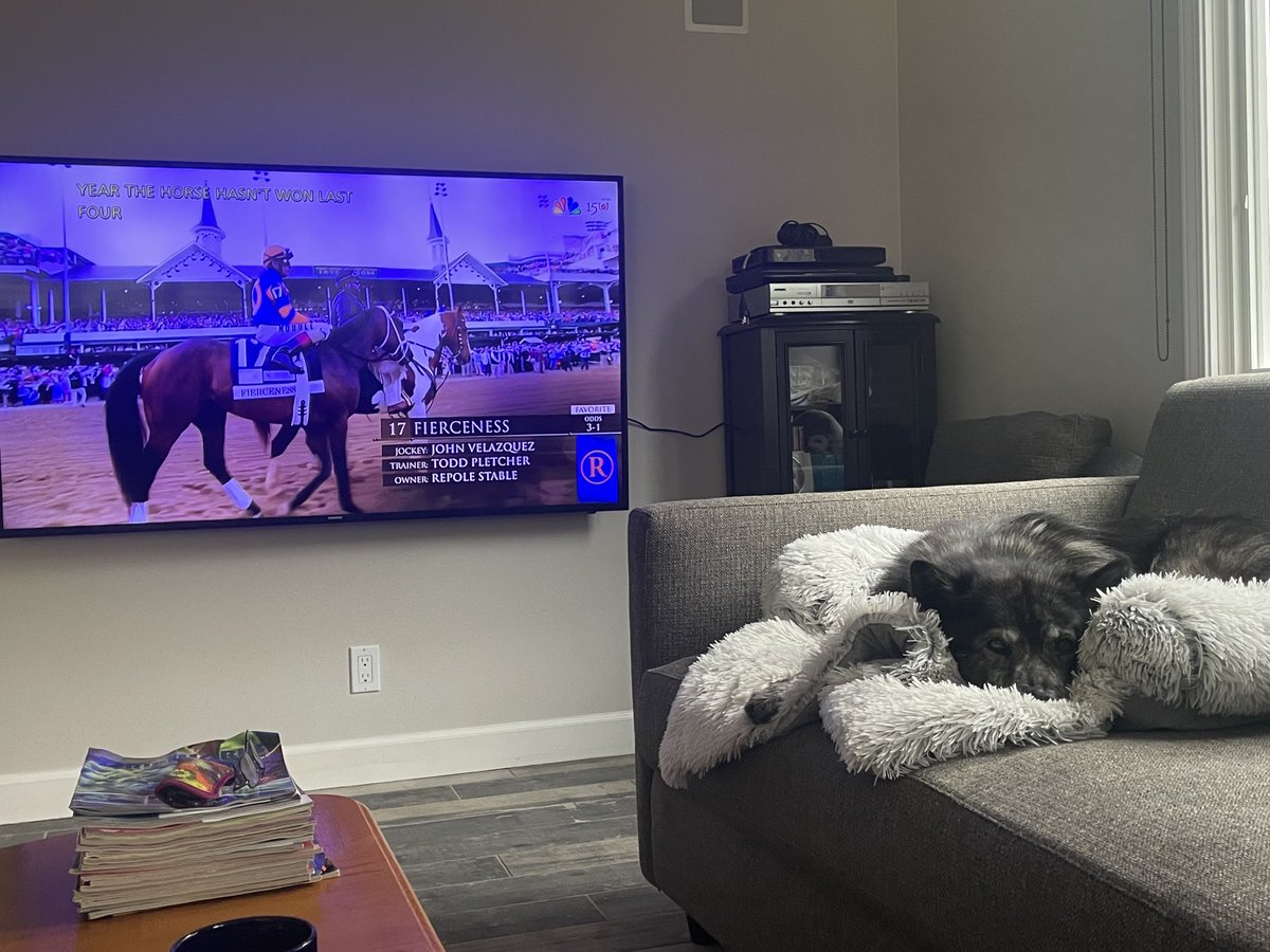 The horses are about to race. Yoshi couldn’t care less. 🐎🐎🐎🥴🤣