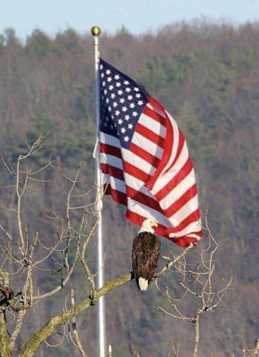 Proud to be an American 🇺🇸 Share this picture if you love our flag and our country ❤️ #GodBlessAmerica