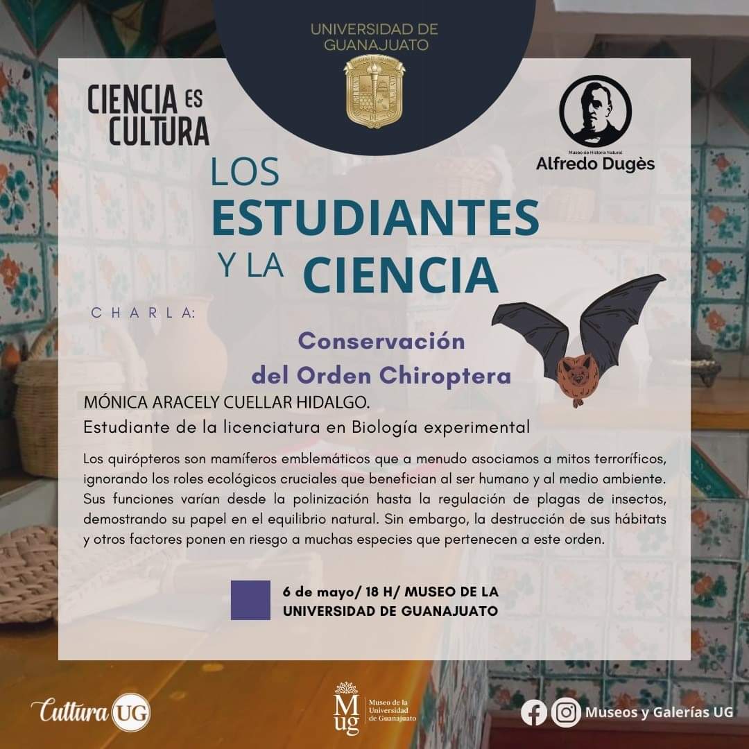 #CienciaEsCultura & el @MuseoADuges     
Los Estudiantes y la Ciencia te invitan a la Charla: ' Conservación del Orden Chiroptera'🦇
📆6 de mayo🕰18h📍MUG
Consulta la programación: cultura.ugto.mx o descarga la App Cultura UG
#CulturaUG #SomosAbejasUG #museosygalerias