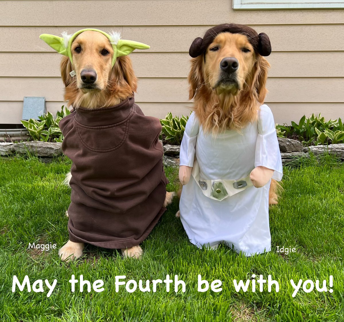 Well, the rain finally stopped! We hope we’re not too late to wish you happy #StarWarsDay!! #maythe4thbewithyou!
