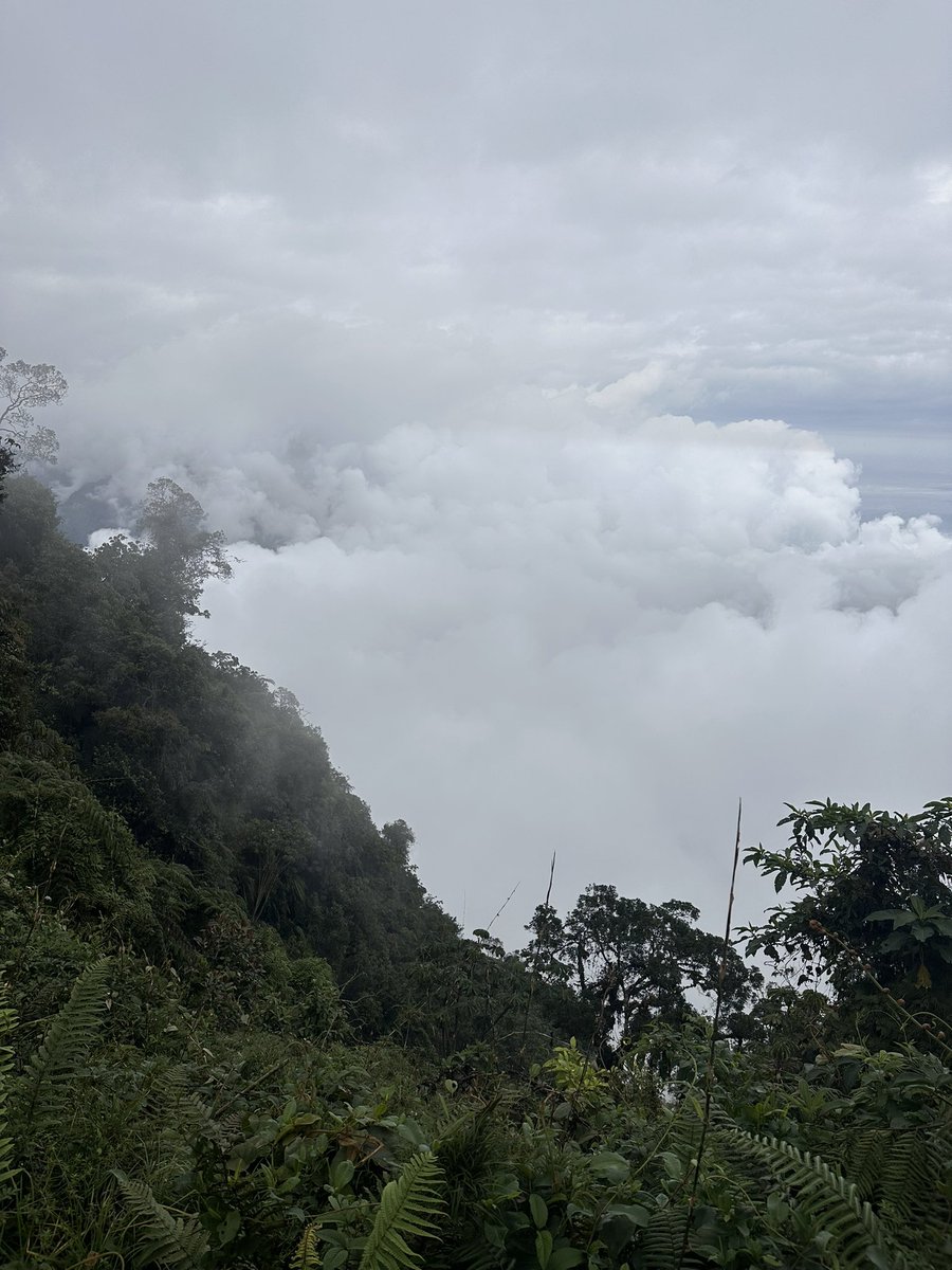 luzandrearoro's tweet photo. No todo tiene que ser estudio. Hoy nos fuimos al parque Chicaque a conectar con la naturaleza. Disfrutamos, reímos, aprendimos y sobretodo volvimos sin novedades. Gracias a bienestar @BienestarUD1 que hizo posible esta actividad. https://t.co/VVMwyK9vJh