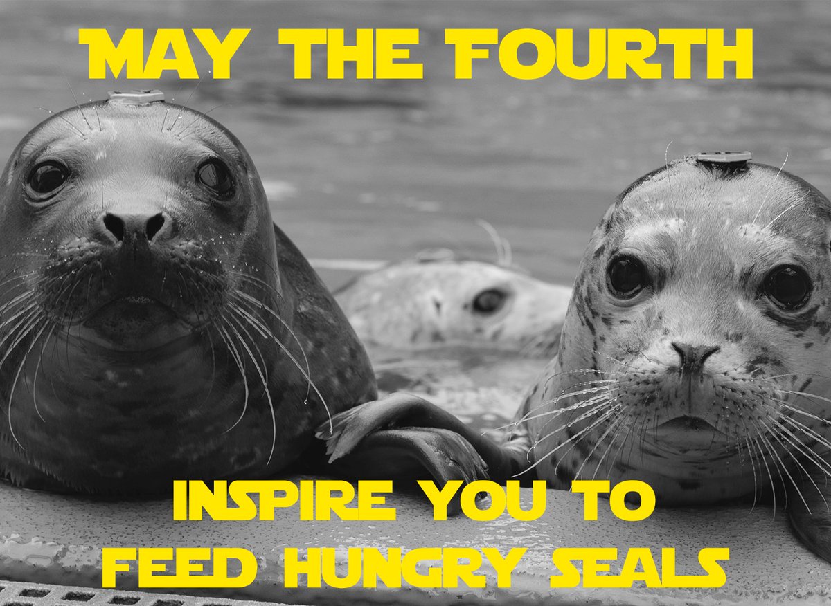 A short time ago in a hospital not far away... there were hungry seals in need of fish 🌟🌌🐟 $5 provides three pounds of fish to sick and injured marine mammals 💫 Be an intergalactic hero for an orphaned seal today at bit.ly/3IE9Fsf. #MayTheFourth #StarWars