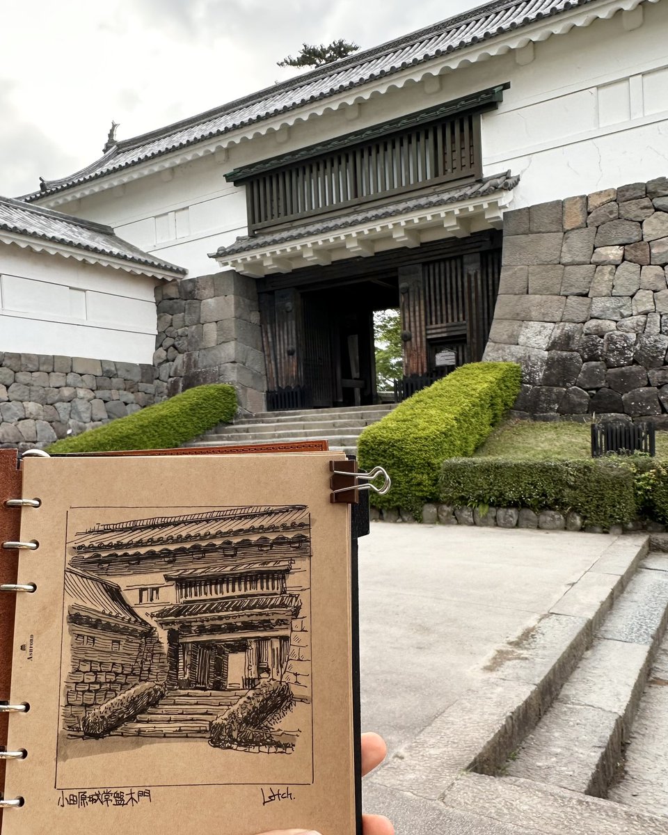 小田原城の天守閣と常盤木門をスケッチ。日本の城の天守閣は、屋根が複雑に重なってるので、パースとるのが難しい。