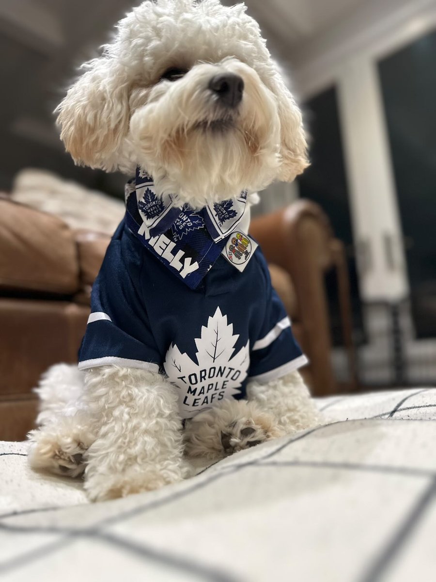 S/O to our fans fur real 🐶 @MapleLeafs bit.ly/mapleleafsnove… #LeafsForever