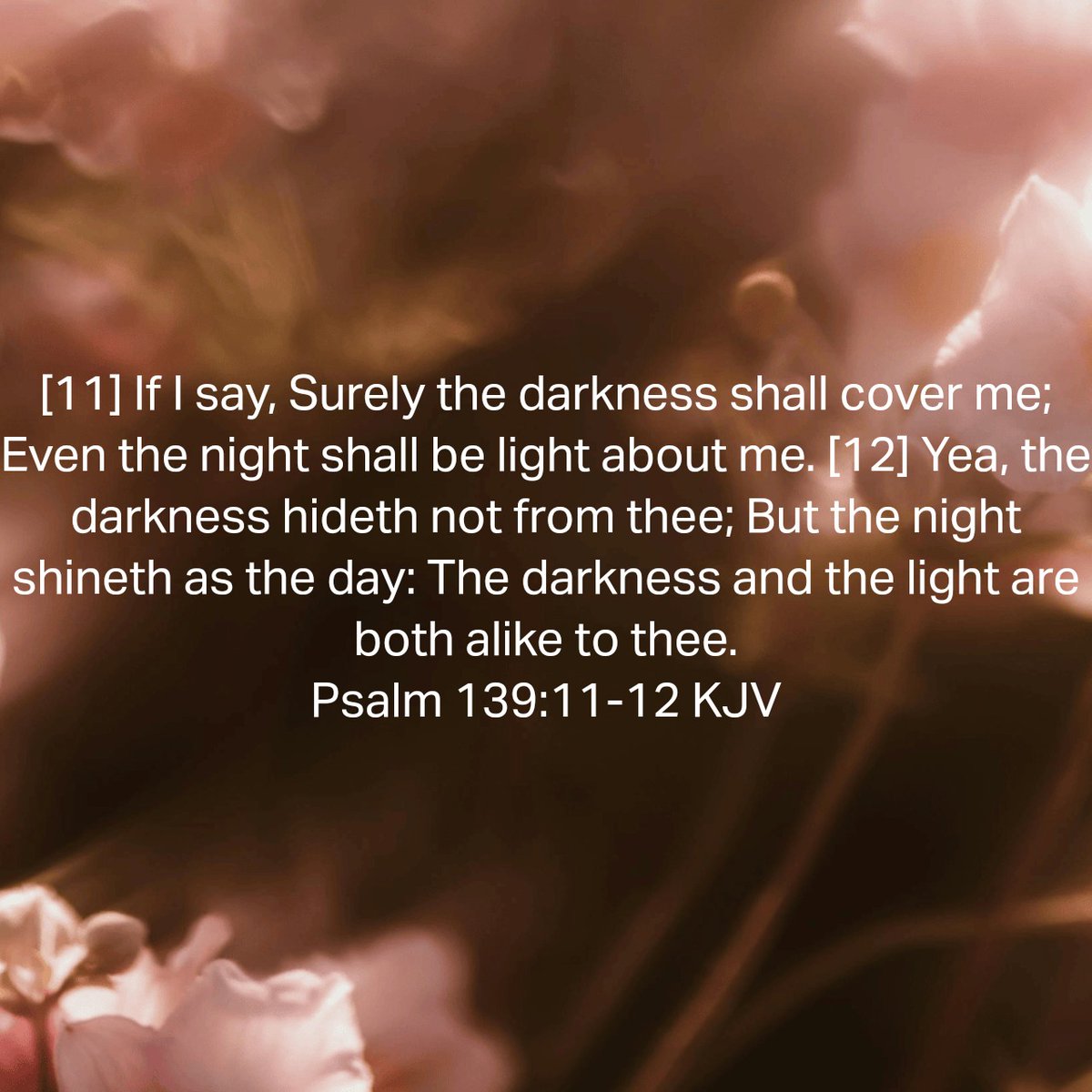 Psalm 139:11-12 KJV
[11] If I say, Surely the darkness shall cover me; Even the night shall be light about me. [12] Yea, the darkness hideth not from thee; But the night shineth as the day: The darkness and the light are both alike to thee.#VerseOfTheDay #bibleapp