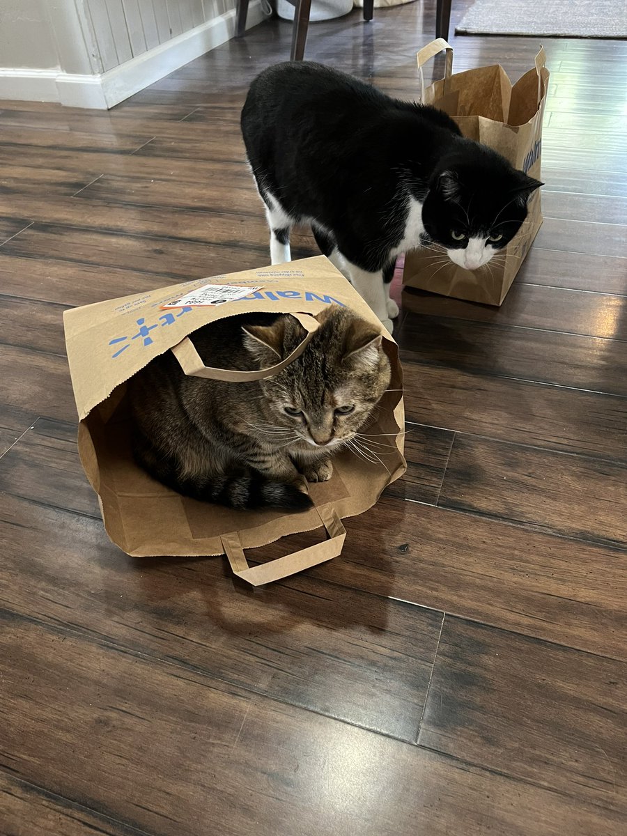 I love it when @Walmart gets my order wrong 🥰 @catshouldnt