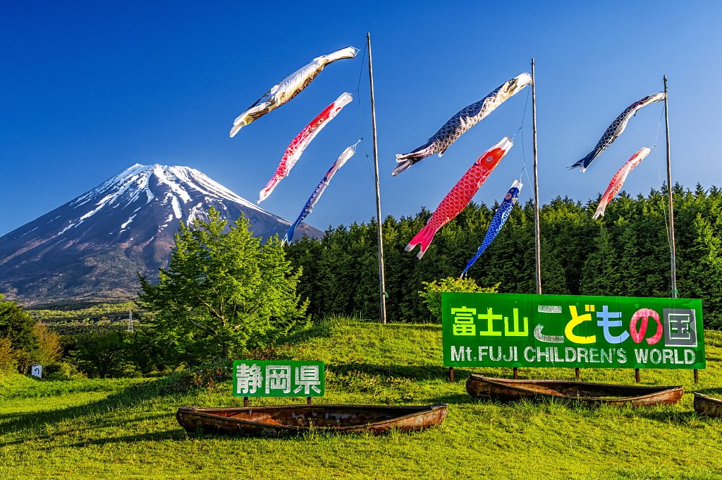 おはようございます。 富士山こどもの国からの富士山とこいのぼりの風景です！