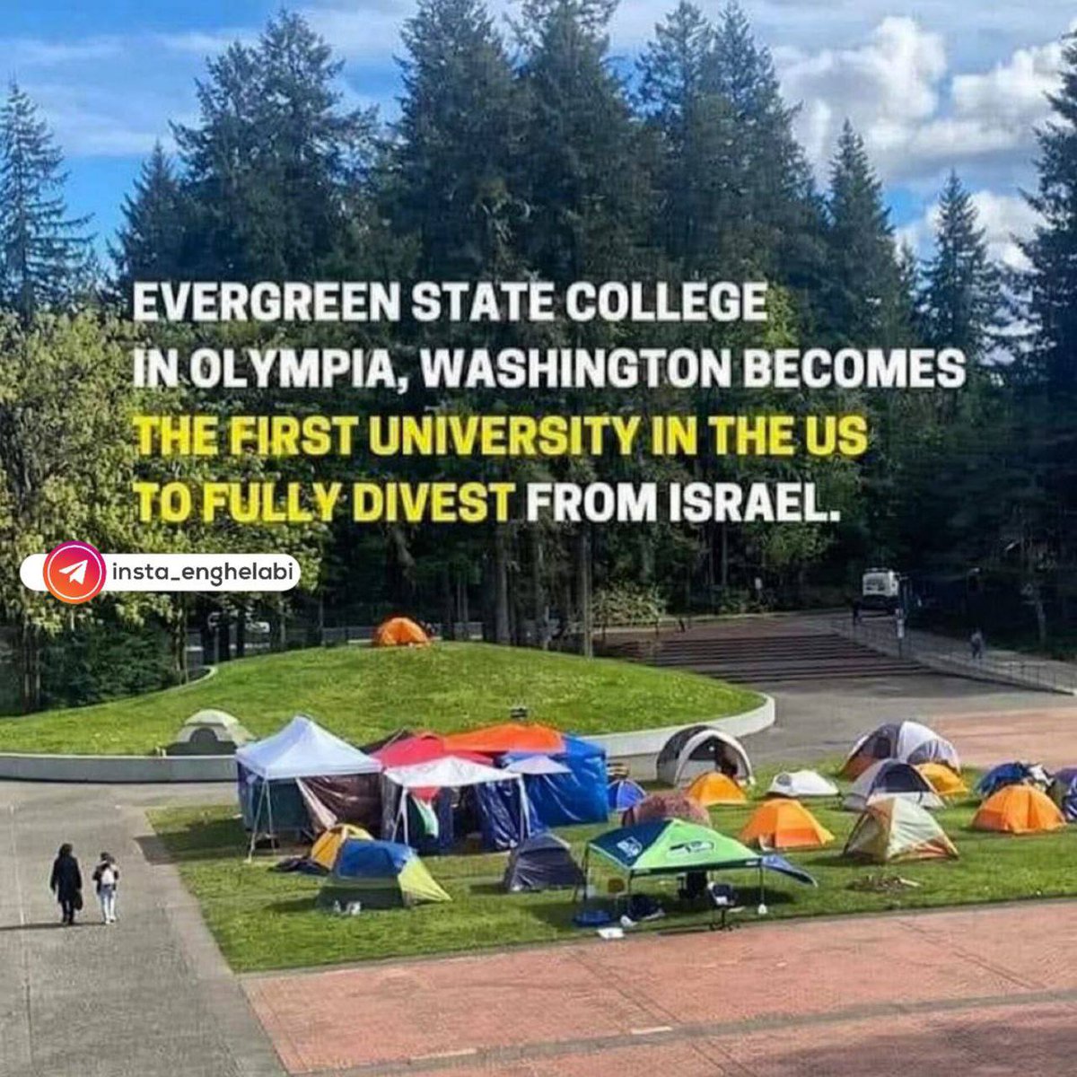 Evergreen College in Washington State is the first university to completely cut ties with Israel This is the same university where Rachel Corrie studied (Rachel Corey, an American peace activist who was martyred by Israeli bulldozers on March 16, 2003) #GazaGenocides