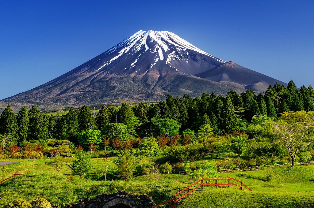 こどもの国からの雄大な富士山の眺めです！