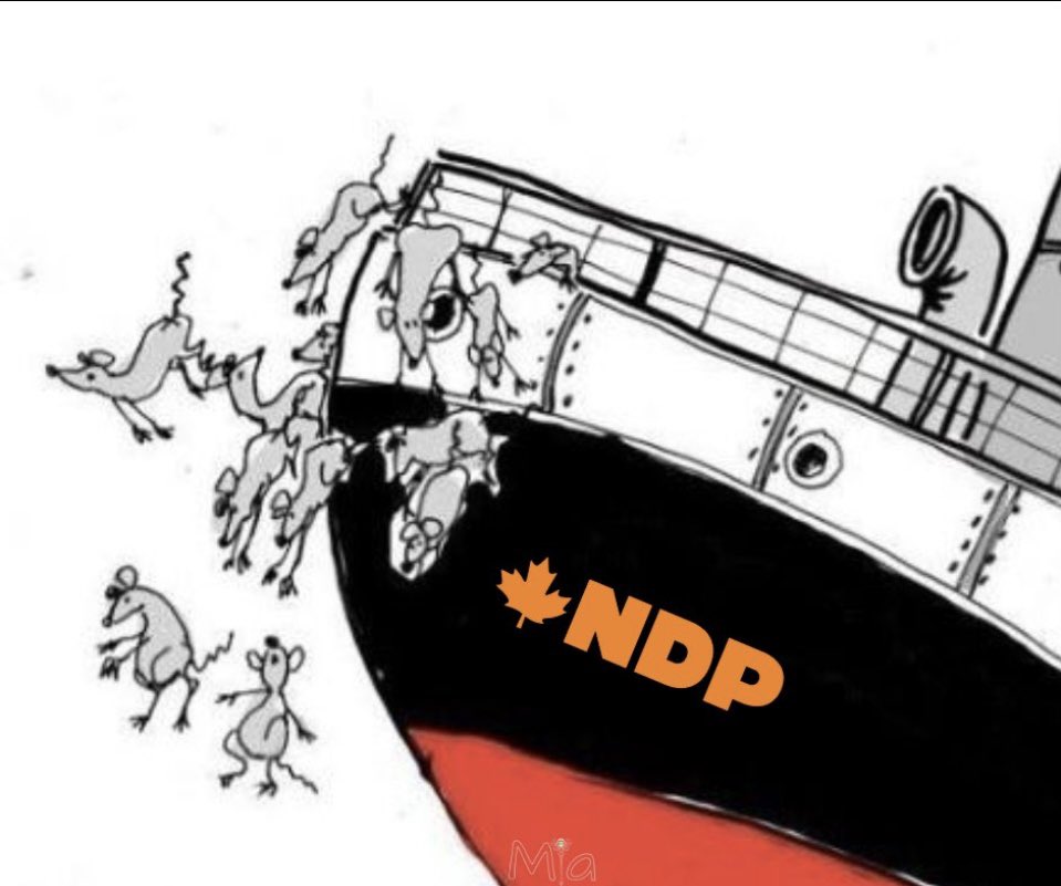 Hey get DWR to right the ship... or did ya?
@bcndp