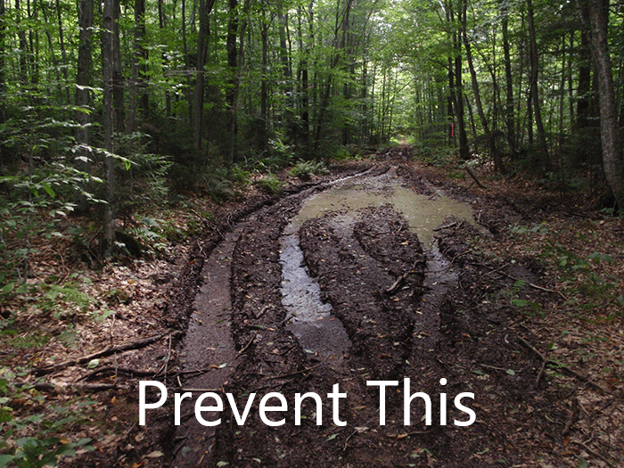 A temporary wet weather closure has been issued for Rock Creek Trails on the Georgetown Ranger District. This closure is in place to prevent trail damage and to protect for visitor safety.