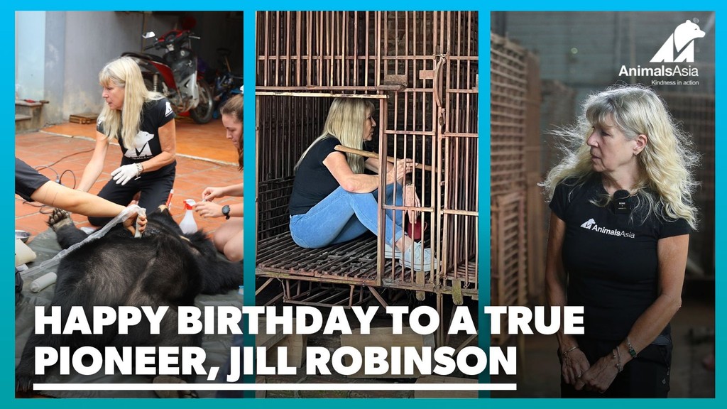 On @MoonBearJill 's birthday we say a humble thank you to an amazing woman whose determination, empathy, tenacity and kindness have changed the world for animals across Asia, and continue to do so every single day. #kindnessinaction #happybirthday #animalsasia #animalhero
