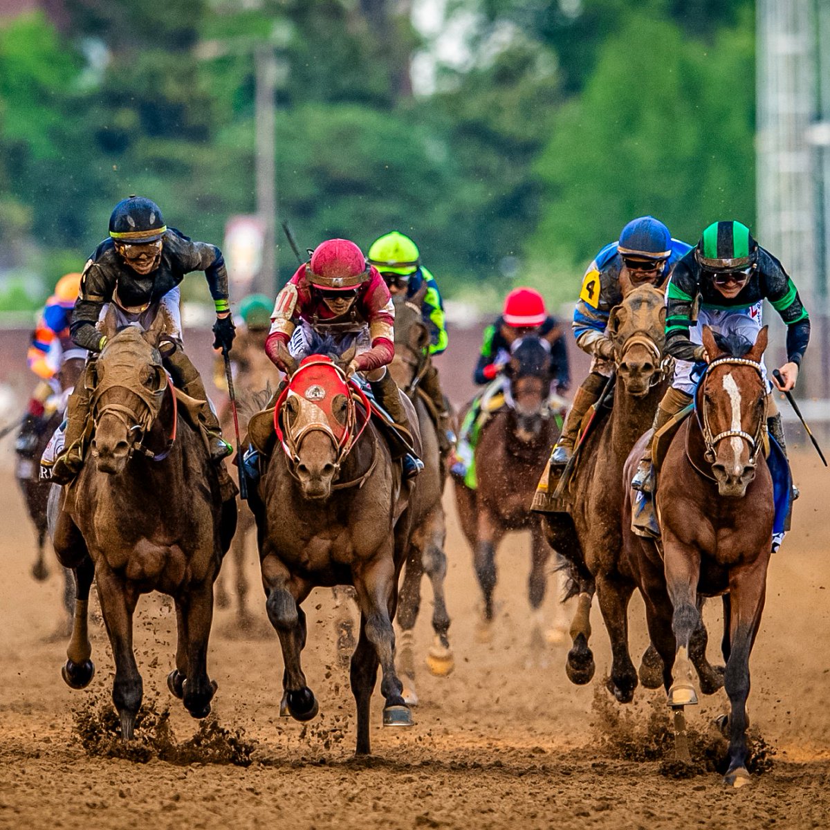 Three across at the wire. 

#KyDerby