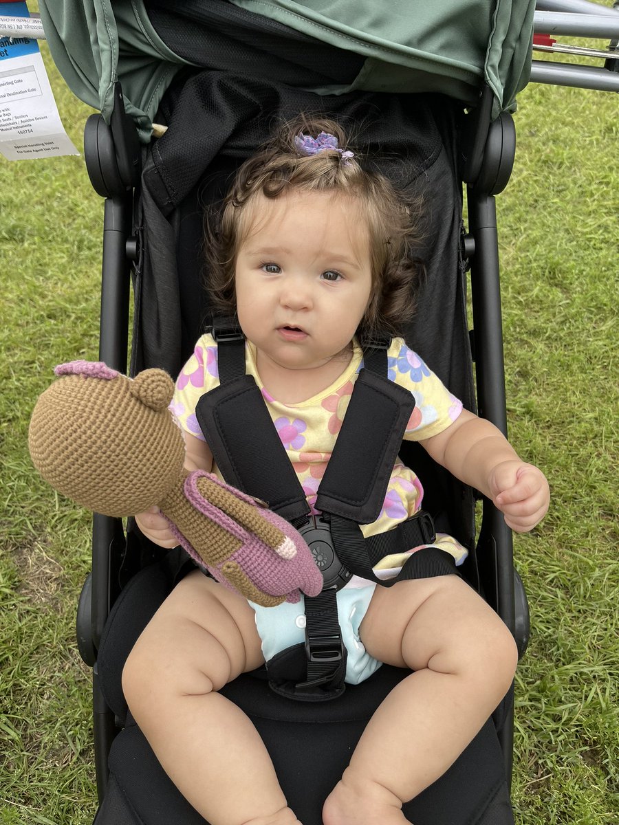Today we went to a festival downtown and someone stole Baby Em’s monkey from the stroller. 

I really dislike people today. 😤