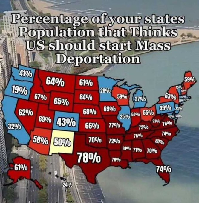 Do you think we should start mass deporting all illegal migrants? ⚠️⚠️⚠️