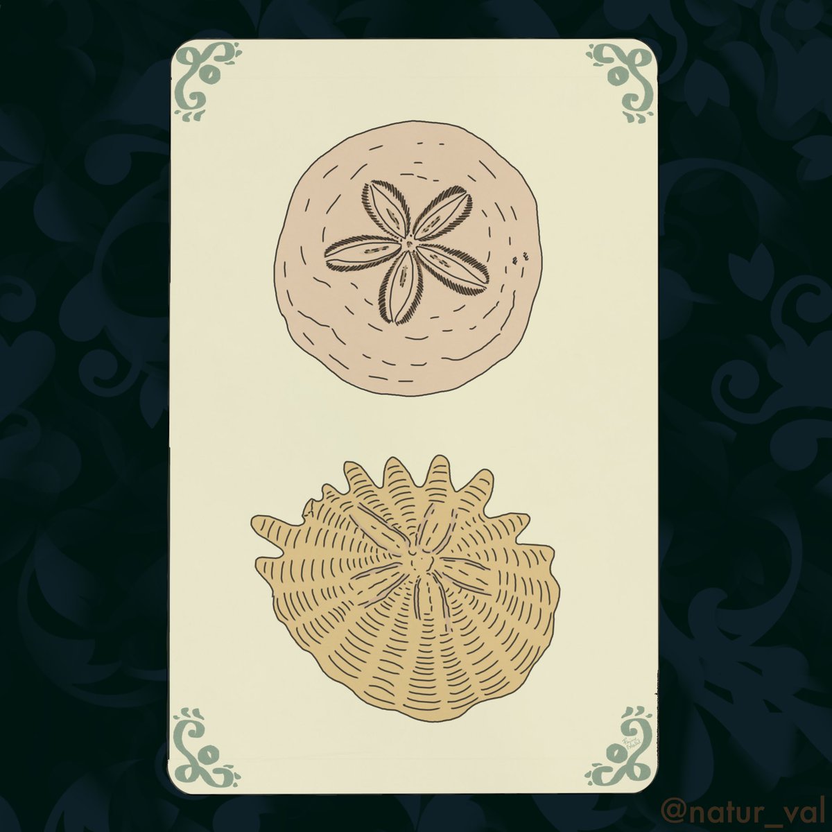Tarots Before Time - Deniers. The suit of Pentacles. I chose “sand dollars” fossils, i.e. echinoids of the Dendrasteridae family characterized by a rounded and flattened shape that resembles a coin. P.S. There are actually a couple of interlopers from other genres. 2: wealth