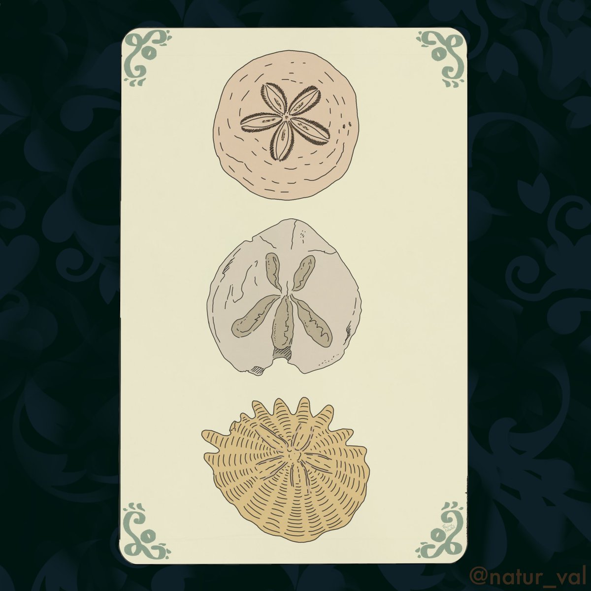 Tarots Before Time - Deniers. The suit of Pentacles. I chose “sand dollars” fossils, i.e. echinoids of the Dendrasteridae family characterized by a rounded and flattened shape that resembles a coin. P.S. There are actually a couple of interlopers from other genres. 3: continuity