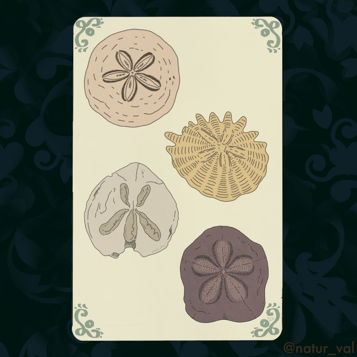 Tarots Before Time - Deniers. The suit of Pentacles. I chose “sand dollars” fossils, i.e. echinoids of the Dendrasteridae family characterized by a rounded and flattened shape that resembles a coin. P.S. There are actually a couple of interlopers from other genres. 4: security