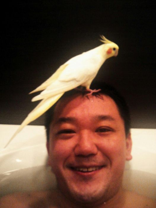 yoshirin100's tweet image. 【風呂は食器洗い洗浄機ではない！！入浴を“体を洗う”と勘違いしている人があまりにも多い！！】
入浴の目的を体の『洗浄』と思っている人があまりにも多いです。洗浄はあくまで目的の一つです。…