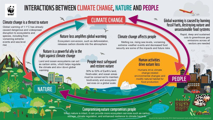 Climate change, nature, and people are intrinsically connected 🔄 Taking action on climate change means adopting and implementing ambitious programs that prioritize these links. Learn more about the connections between these 3️⃣ elements through this @WWF graphic.
