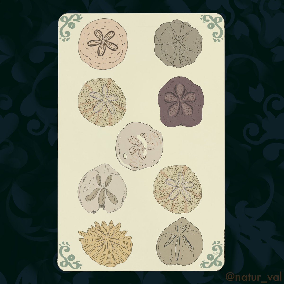 Tarots Before Time - Deniers. The suit of Pentacles. I chose “sand dollars” fossils, i.e. echinoids of the Dendrasteridae family characterized by a rounded and flattened shape that resembles a coin. P.S. There are actually a couple of interlopers from other genres. 9: serenity