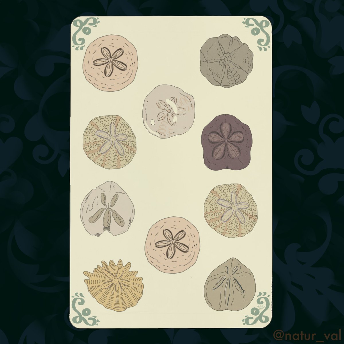 Tarots Before Time - Deniers. The suit of Pentacles. I chose “sand dollars” fossils, i.e. echinoids of the Dendrasteridae family characterized by a rounded and flattened shape that resembles a coin. P.S. There are actually a couple of interlopers from other genres. 10: prestige