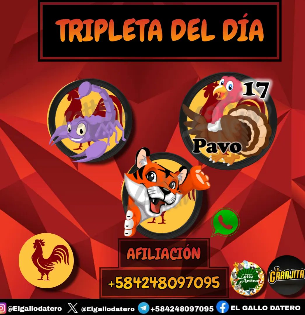 🐓¡CANTAA MI GALLOOOOOO!🐓

LLEGARON LOS DATOS DEL DÍA:

#05MAYO DEL 2024 (05-05-24) 

🔴 AFILIACIONES DISPONIBLES; JUGAMOS CON HORAS DE POSIBLES SALIDAS.

🔴 TENEMOS LA TRIPLETA DEL DÍA 

🔴 WHATSAPP: 04248097095 (SOLO WHATSAPP) 

#LOTTOACTIVO #LAGRANJITA