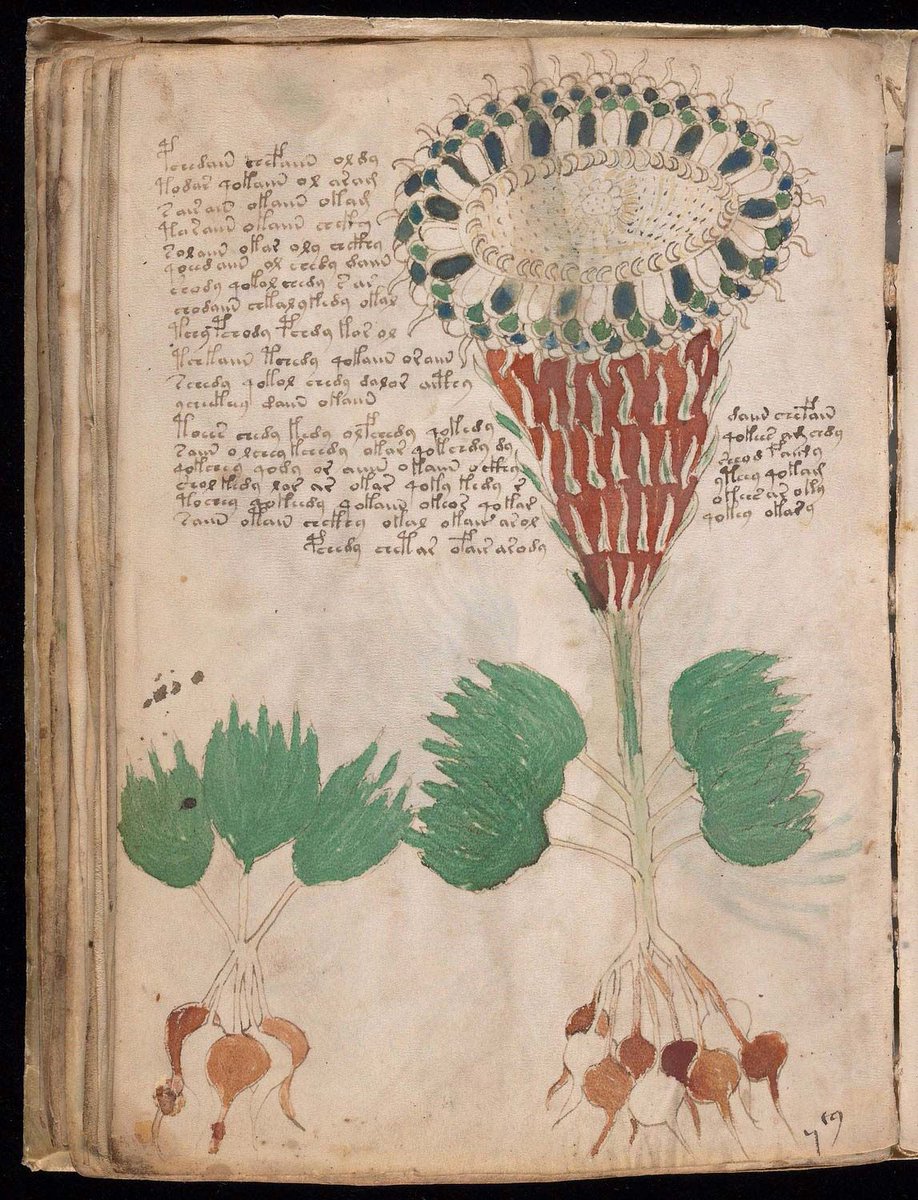 through a Paracelsian lens
the Voynich codex correlates
with grimoires scribed in Amharic
or those lost in ancient Ephesus,
it's glyphs and symbols hold magic
betwixt vellum pages of grapholect
the meaning is still undeciphered 
it remains a mystery to the intellect

#vss365