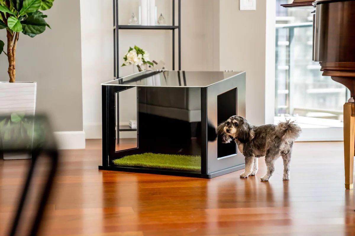 🐩 The City Loo dog potty or cat potty is a chic and hassle-free way to meet your pet’s needs. 🐈‍⬛

DEAL: Get 5% off your entire order with code THEREVIEWWIRE [ad]
collabs.shop/lsquqv 

#petcare #dogpotty #catpotty 
#furryfriends #puppylover 
#petcare #petlovers #petparent
