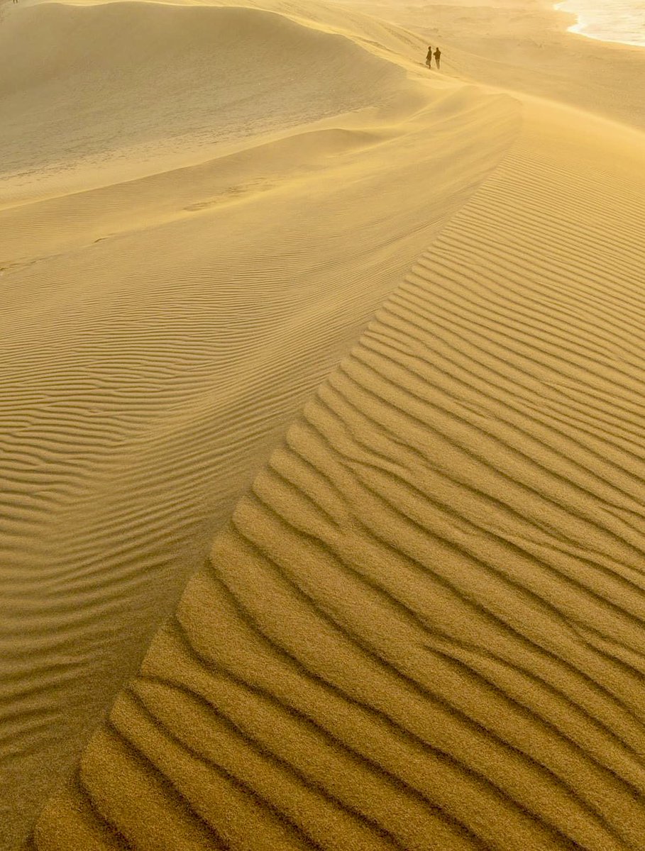 砂と風が織りなす芸術

#鳥取県
#鳥取市
#鳥取砂丘
#風紋