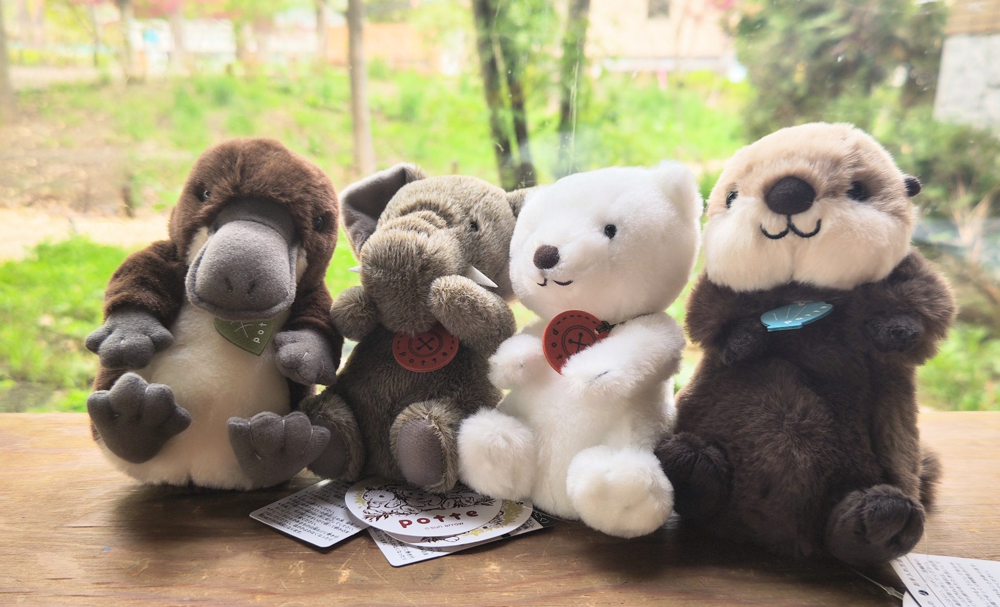 円山動物園オフィシャルショップ on X: 