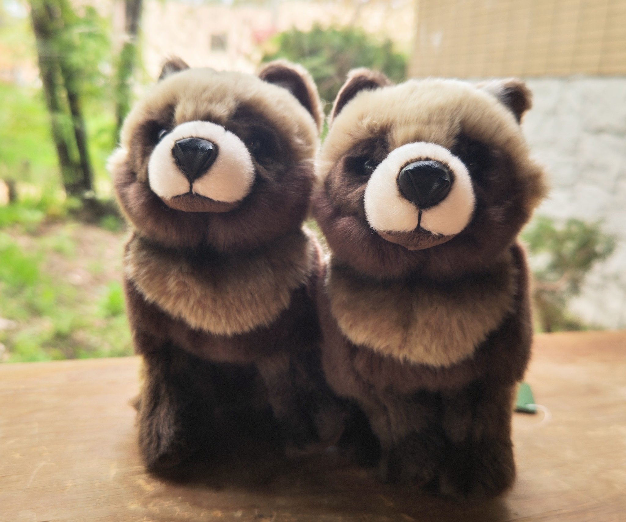 円山動物園オフィシャルショップ on X: 