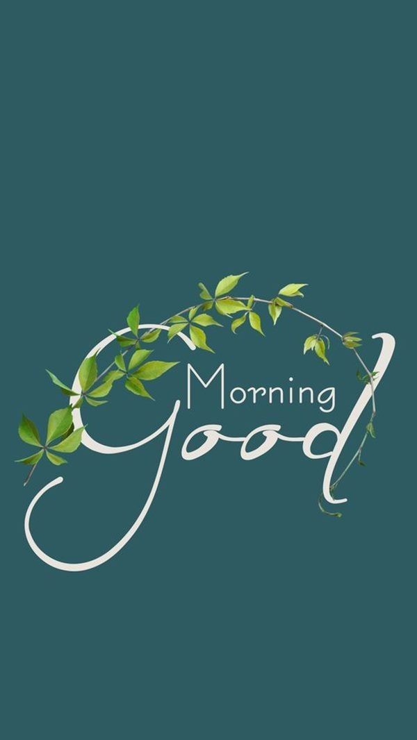 Asalam o alikum friends 
.
Good morning friend's 🌅 
.
Will you reply Salam??
