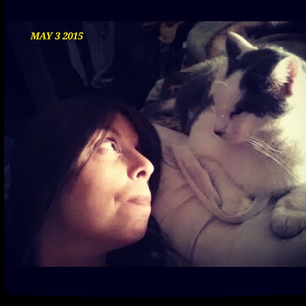 #FelineFriday Memory May 3, 2024 🌈Mr. Jingles & his Mama #catoftheday #TonyCat #MrJingles #CheezeburgerTheCat #CheeseburgerTheCat #CatsOfTwitter